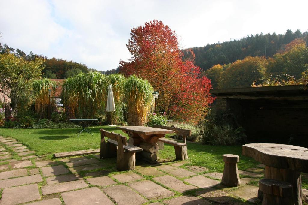 Отель Auberge Du Ruxelier Chenimenil Экстерьер фото